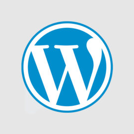 What is a WordPress Theme