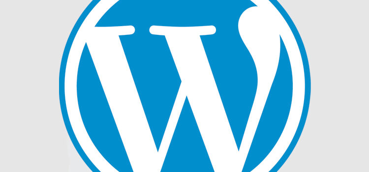 What is a WordPress Theme