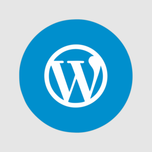 инфографика 5 1